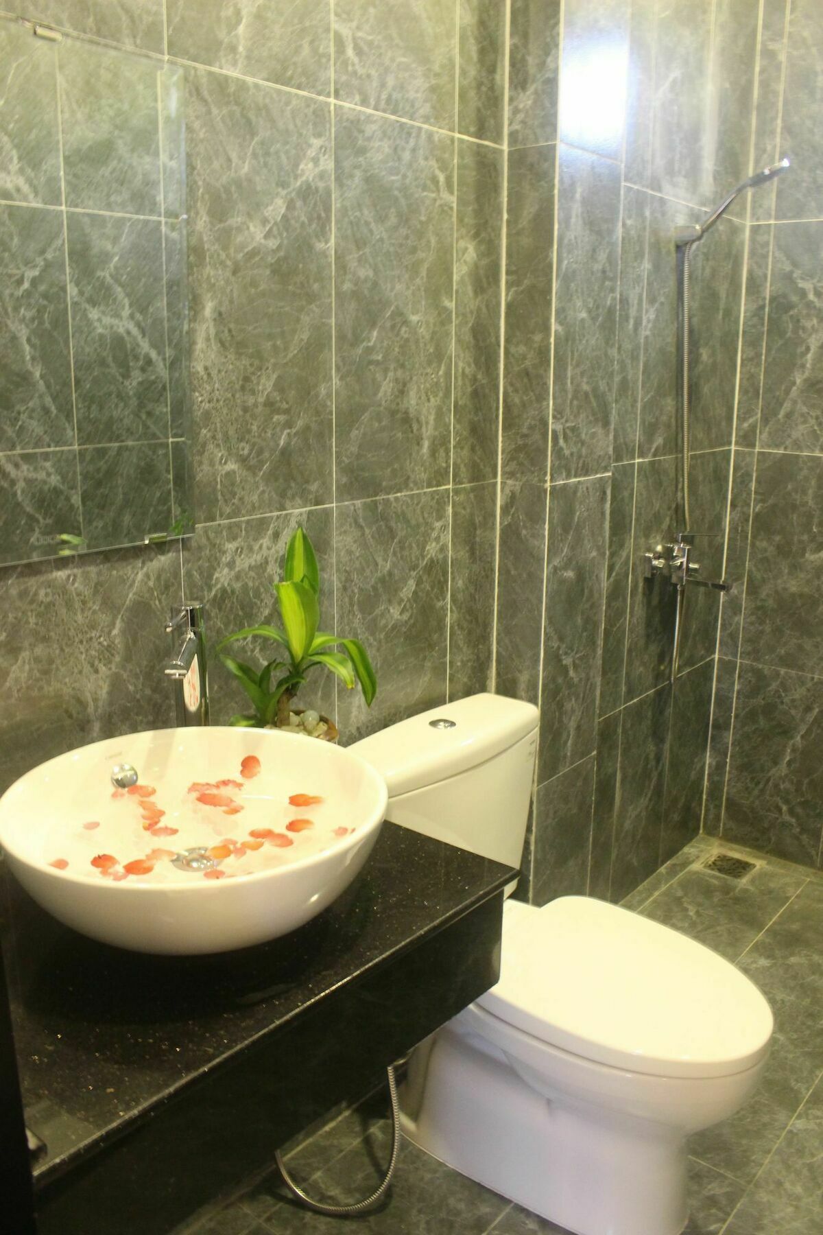 Hoi An Green View Homestay & Villa Exterior photo