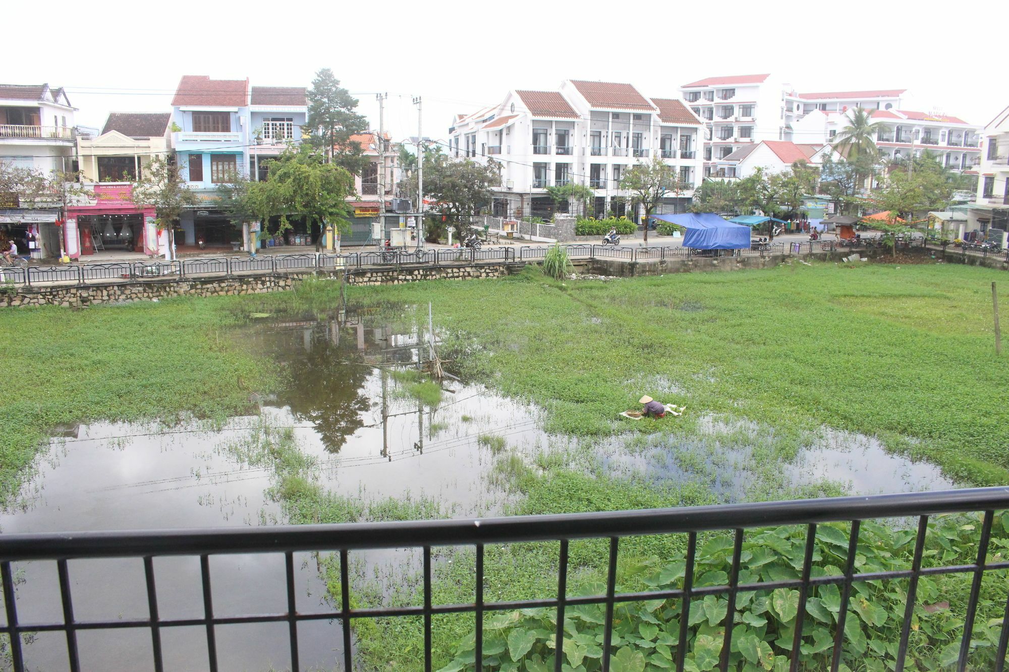 Hoi An Green View Homestay & Villa Exterior photo